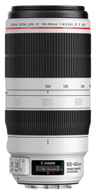 Canon EF 100-400mm f/4.5-5.6L IS II USM — technische Daten, Specs & Vergleich bei Raw-Presets