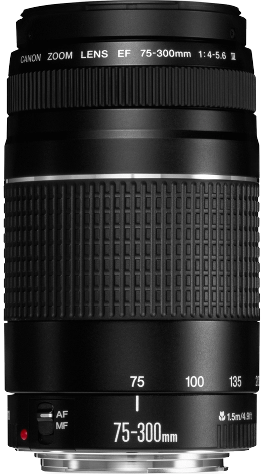 Canon EF 75-300mm f/4-5.6 III — technische Daten, Specs & Vergleich bei Raw-Presets