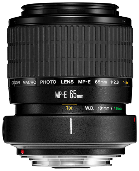 Canon MP-E 65mm f/2.8 1-5x Macro — technische Daten, Specs & Vergleich bei Raw-Presets